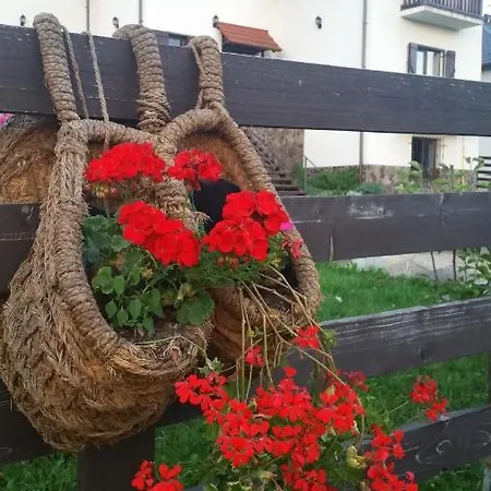 Zoryany Dvir * Skhidnytsia