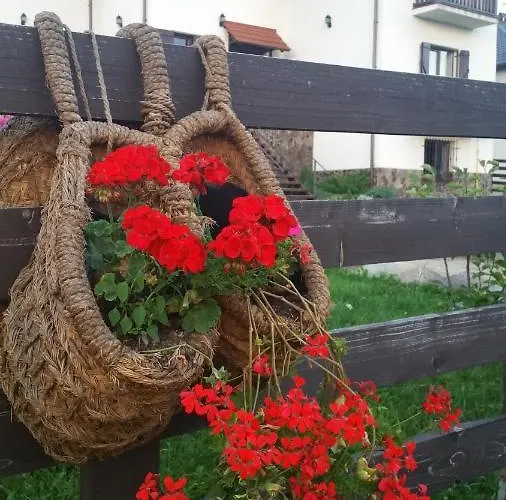 Zoryany Dvir * Skhidnytsia